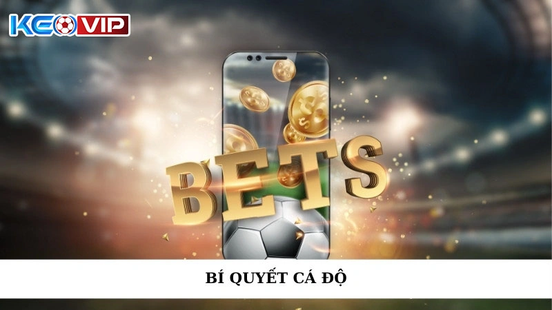 Bí Quyết Cá Độ - Trọn Bộ Bí Quyết Cá Độ Từ A đến Z 2025