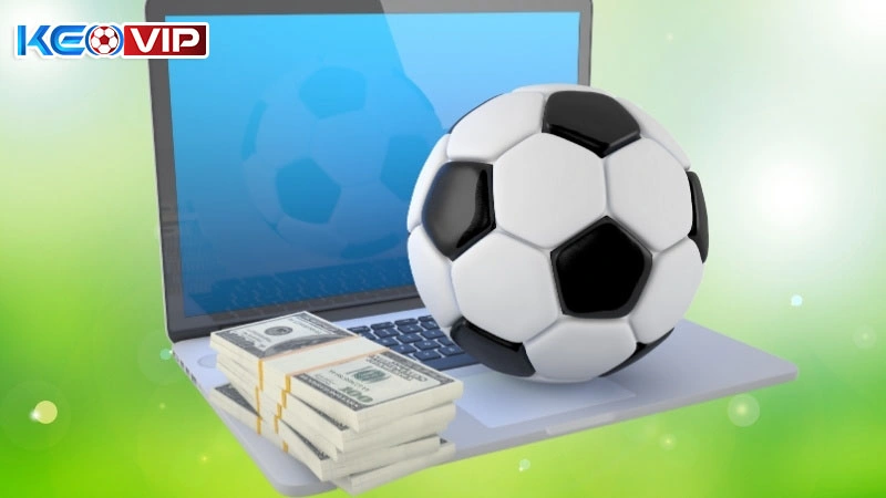 Khái niệm về cá độ thông minh