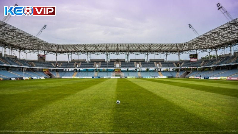 Không bỏ qua những thông tin phụ 